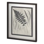 Vintage Fern Study II