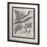 Vintage Fern Study IV