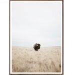 Great Plains Denizen