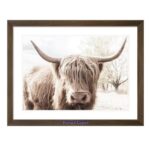 Horned Cow Looking
