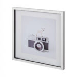 Deer & Vintage Camera