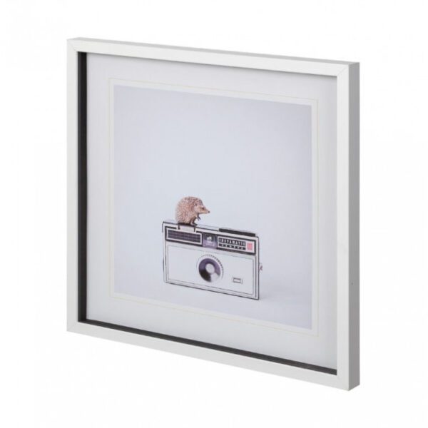 Hedgehog & Vintage Camera