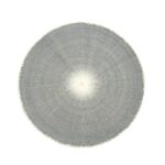 Willa Woven Placemat, Stone